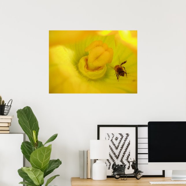 Impressão de Abelha Dentro da Flor de Abobrinha (Escritório em casa)