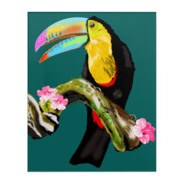 Impressão de Acrilato de Toucan Bird