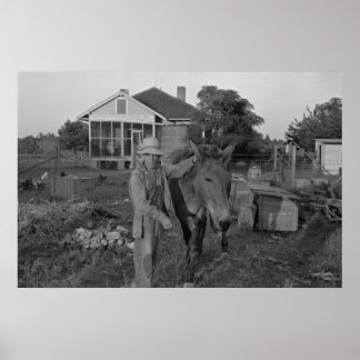 Impressão de Administração de segurança da Fazenda