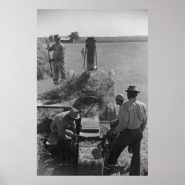 Impressão de Administração de segurança da Fazenda (Frente)