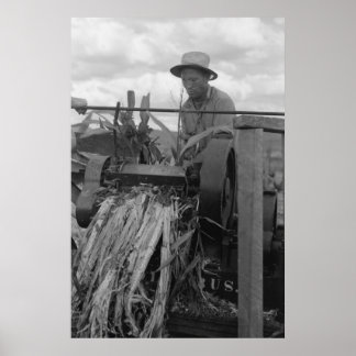 Impressão de Administração de segurança da Fazenda