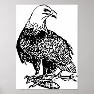Impressão de Águia 2, Papel Poster de Valor (Matte