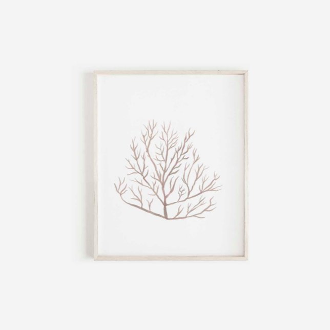 Impressão de algas marinhas aquáticas (Criador carregado)