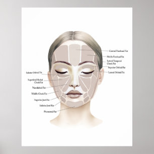 Impressão de Anatomia Facial 1 