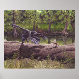 Impressão de Anchiornis