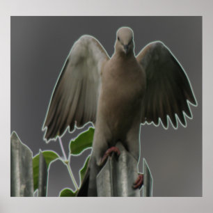 Impressão de Anjo de Fallen