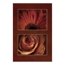 Impressão de aparência de Rosa de margarida estili