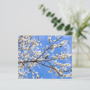 Impressão de Aquarela de Ramificação de Flor - Art