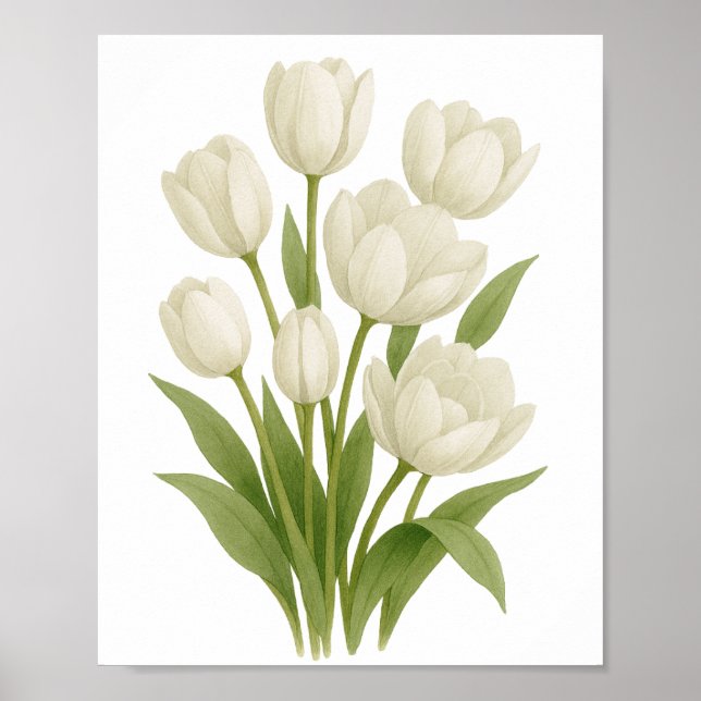 Impressão de Aquarela de Tulipas Brancas - Decoraç (Frente)