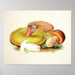 Impressão de Arte Amarela Vintage 1855 Cogumelos