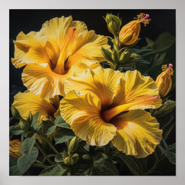 Impressão de Arte Amarelo do Flor Hibiscus (Frente)