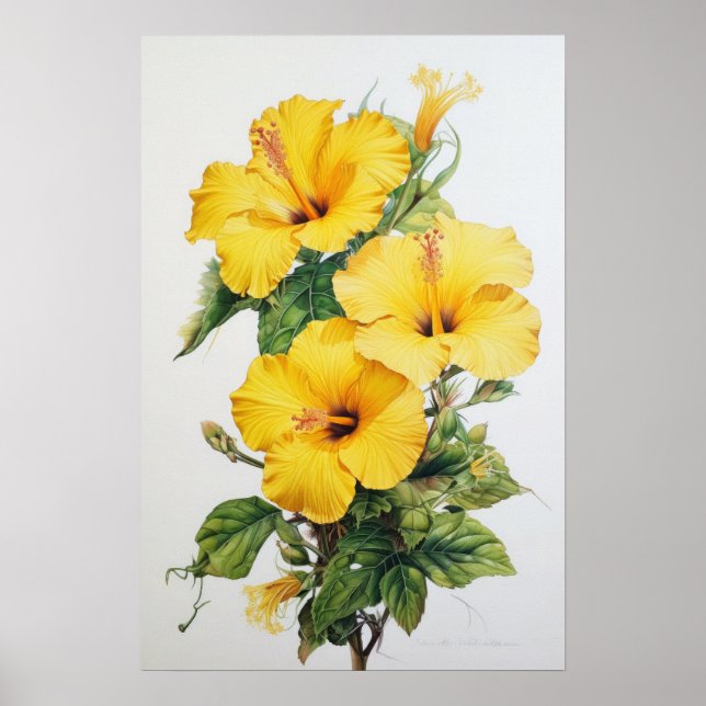 Impressão de Arte Amarelo do Flor Hibiscus (Frente)