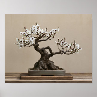 Impressão de Arte Bonsai de Ameixa Branca | Arte J