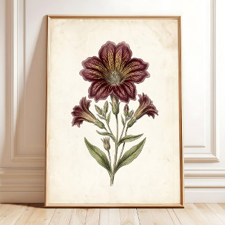 Impressão de Arte Botânica de Cottage Vintage