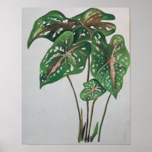 Impressão de Arte Botânica de Parede Folha Verde (Frente)