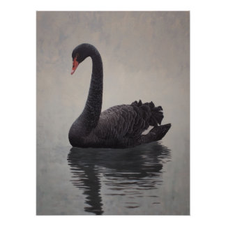 Impressão de Arte Cisne Negro Antigo