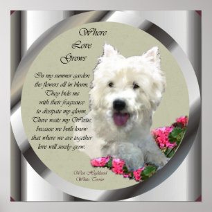 Impressão de Arte com Terrier Branco de West High