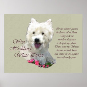 Impressão de Arte com Terrier Branco de West High