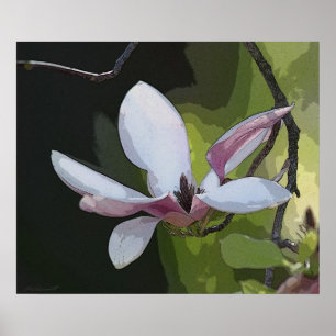 Impressão de Arte da Magnolia Japonesa - 24x20 - o