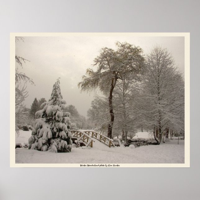 Impressão de Arte da Ponte de Inverno Poster de Fl (Frente)