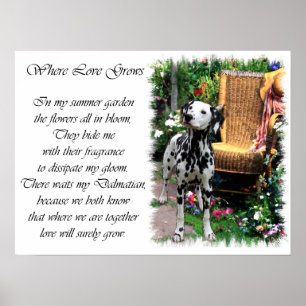 Impressão de Arte Dalmácia