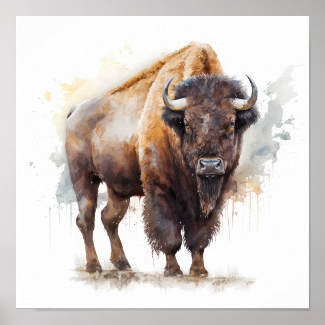 Impressão de Arte de Buffalo Ocidental (Frente)