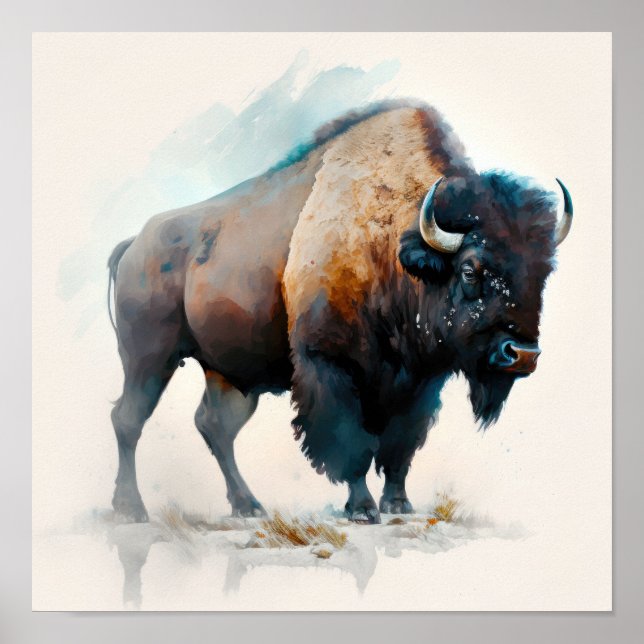 Impressão de Arte de Buffalo Ocidental (Frente)