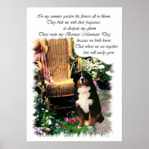 Impressão de Arte de Cão da Montanha Bernese