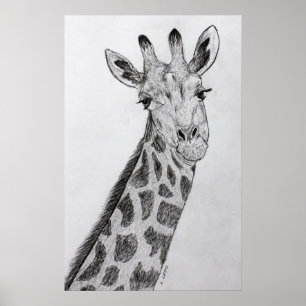 Impressão De Arte De Desenho De Lápis De Girafa