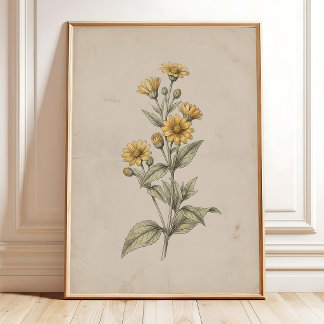 Impressão de Arte de Parede de Flor de Melampodium