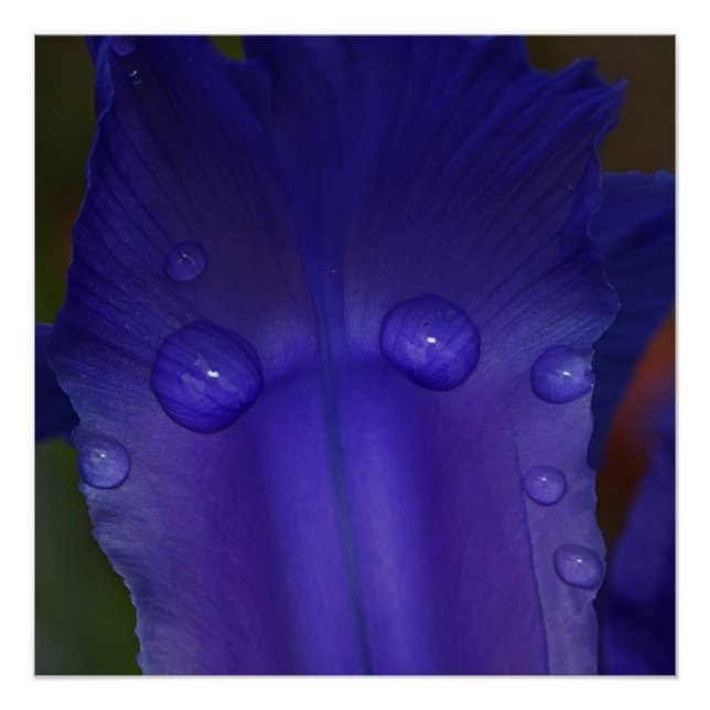 Impressão de Arte de Parede de Foto da Natureza Se (Frente)