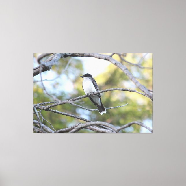 Impressão de Arte de Pássaro canvas (Frente)