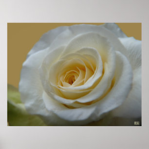 Impressão de Arte de Poster Branco