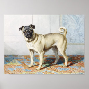 Impressão de Arte de Pug em Aquarela Vintage