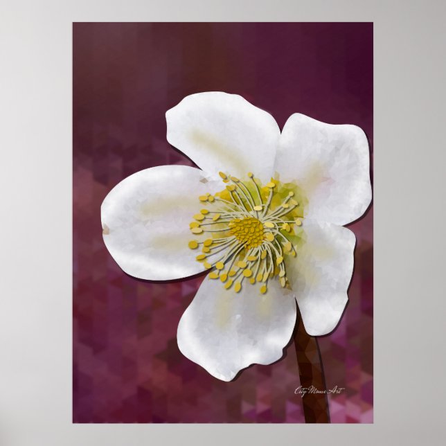 Impressão de Arte de Rosa de Inverno de Alta Resol (Frente)