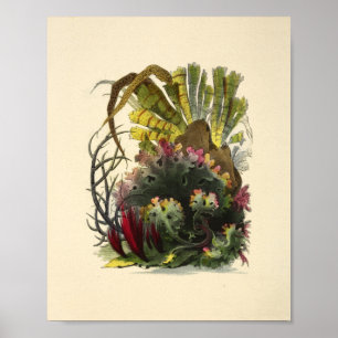 Impressão de Arte do Jardim de Arte de Coral a Co