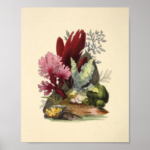 Impressão de Arte do Jardim de Arte do Coral Color