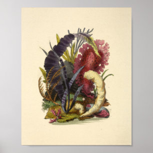 Impressão de Arte do Jardim de Arte do Coral Color