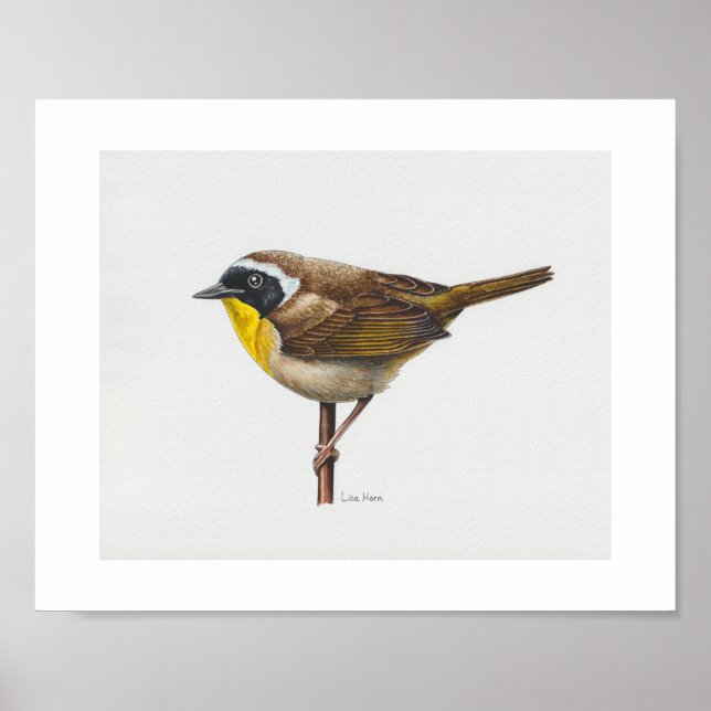 Impressão de Arte do Warbler no Yellowthroat (Frente)