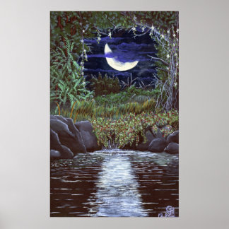 Impressão de Arte em Acrílico Moonlight Falls