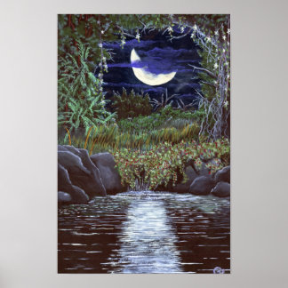 Impressão de Arte em Acrílico Moonlight Falls