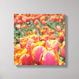 impressão de arte em tela 12x12 Tulipa Flores tela