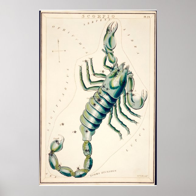 Impressão de Arte Fina da Constelação de Escorpião (Frente)