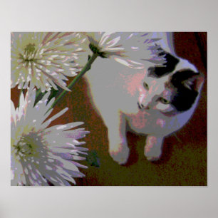 Impressão de arte fina de gato com crisântemos