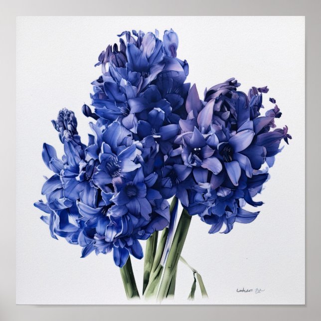 Impressão de Arte Flor Azul Hyaciny (Frente)