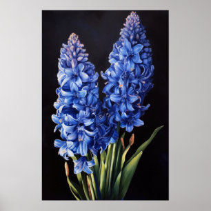 Impressão de Arte Flor Azul Hyaciny