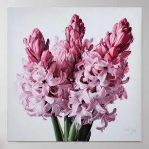 Impressão de Arte Flor Rosa Hyaciny