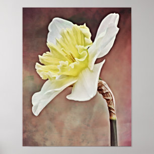 Impressão de Arte Fotográfica bonito Daffodil