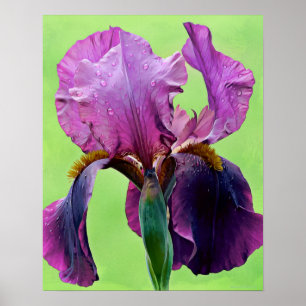Impressão de Arte Fotográfica Roxo Iris