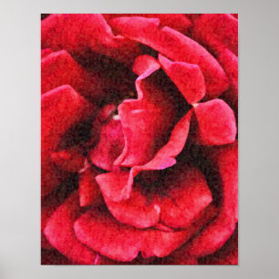 Impressão de Arte Impressionista de Rosa vermelha